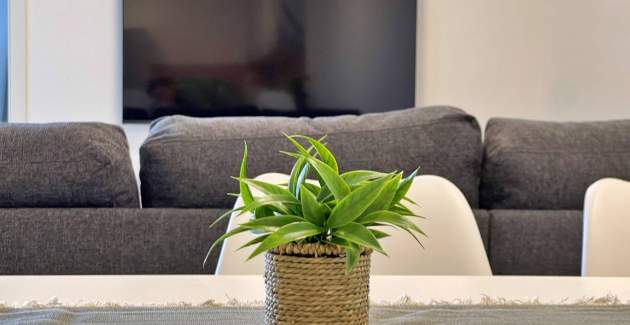 Luxury Apartment Bonum 3 – Private Pool