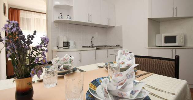 Apartment Dragica A2 – Sea View and Balcony