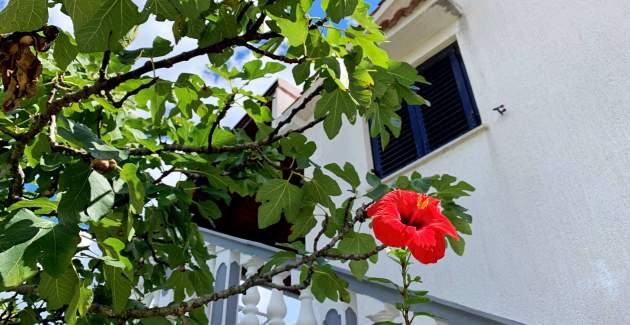 Appartamento Horvat 1 – Vista mare