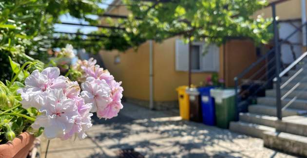 Apartman Mara A4 – terasa i pogled na vrt