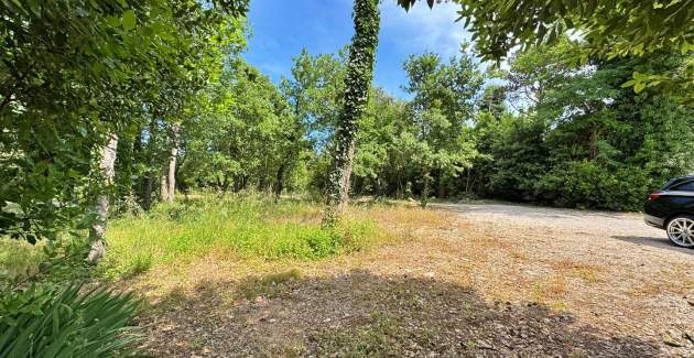 Apartment Scheich 6 – Sea View