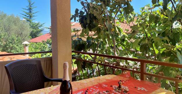 Apartman Šantić V – pogled more