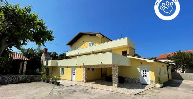 Top Apartment 1 – Pet- and Wheelchair-Friendly