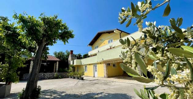 Top Apartment 2 – Pet- and Wheelchair-frendly