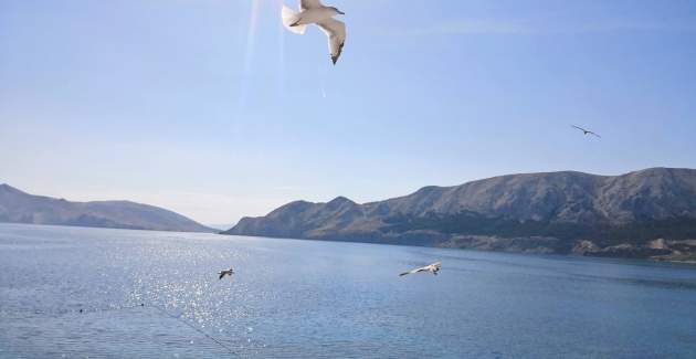 Monolocale Mihovil – vicino alla spiaggia, con vista mare