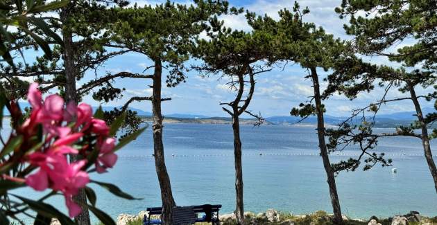 Appartamento Zeljka – 15 m dal mare, vista mare