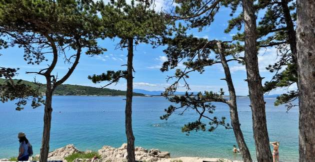 Appartamento Zeljka – 15 m dal mare, vista mare