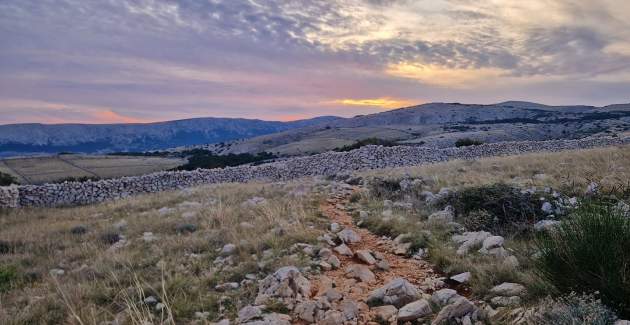 Apartment Lucijana No.5 - with Balcony, 150 m from the Beach