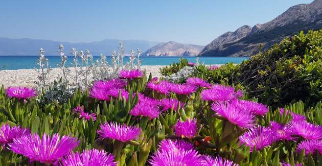 Ferienwohnung Petrica Nr. 2 – mit Balkon – im ruhigen Dorf Jurandvor bei Baška gelegen.