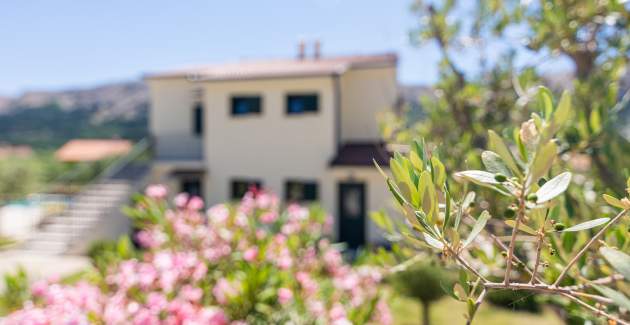 Apartment Garden No.2 - with Pool 